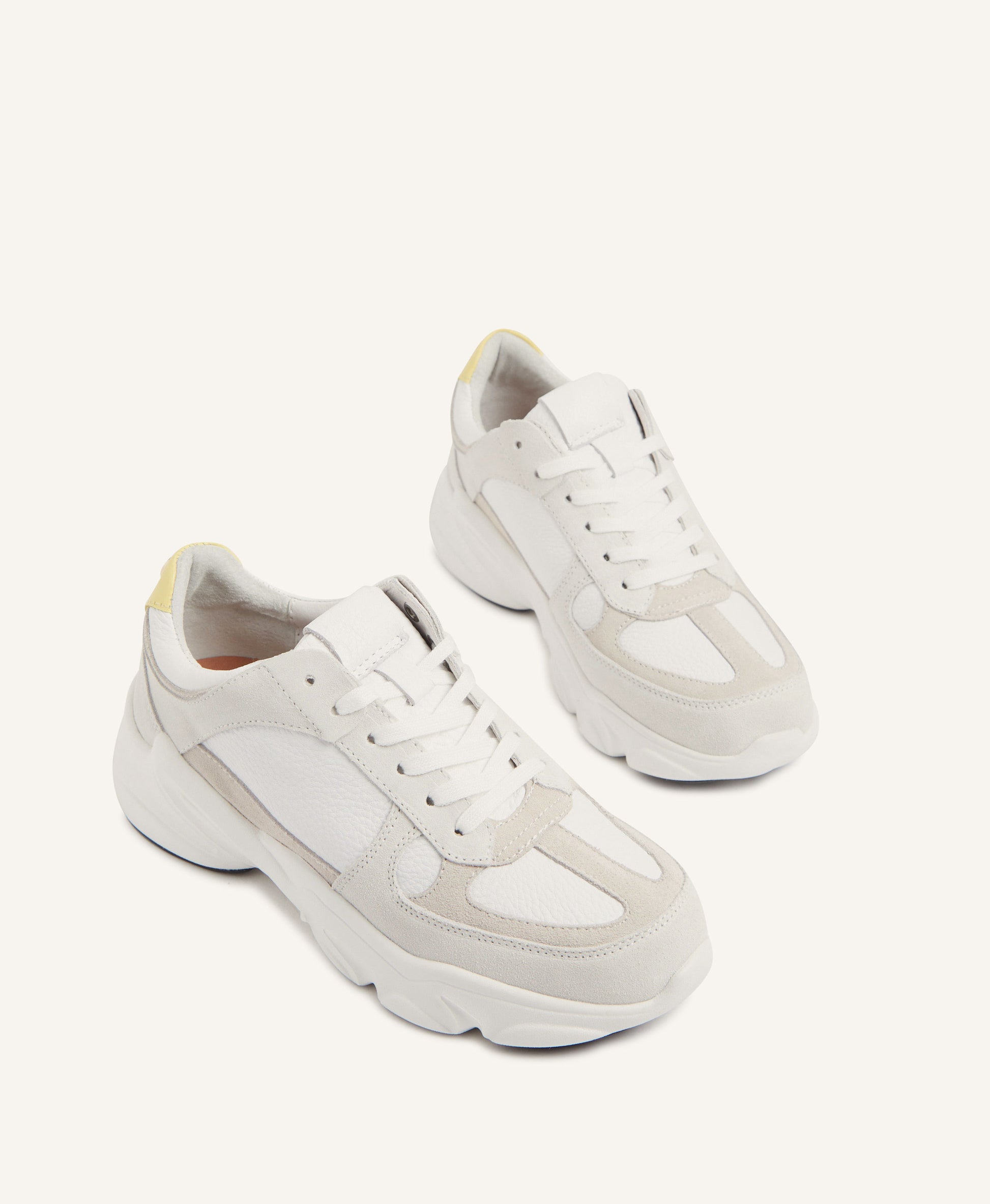 Legacy Sneaker - - Mi Piaci