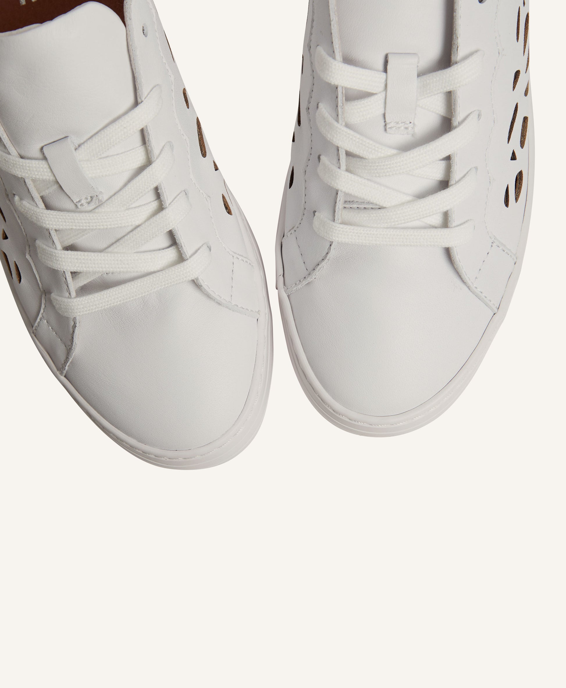 Tonic Sneaker - - Mi Piaci